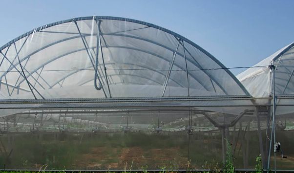 Asy-evo - serre tunnel agricole de 6m et 9,6 m - BARRE_0