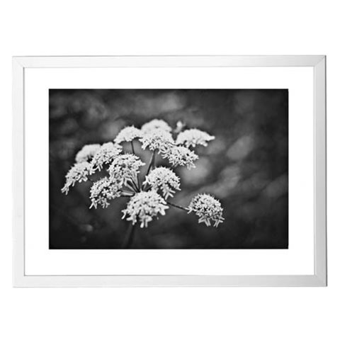 CADRE PROFIL - 60 X 80 CM -
