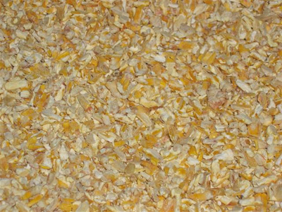 0200580 - aliments d'origine végétale - maïs cassé - 20 kg_0
