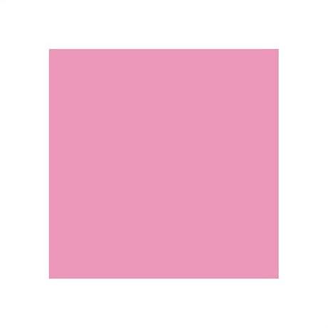 SERVIETTE DOUBLE POINT ECOLABEL 18 G/M² 33X33 CM TISSU ROSE (VENDU PAR 1200)