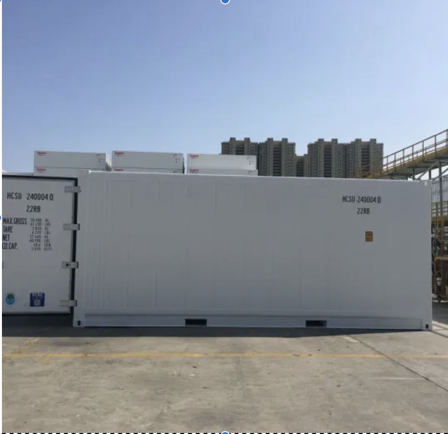Conteneur frigorifique ou isotherme 20HC REEFER - repeint blanc - garantie pièces 3 mois - 20 pieds HIGH CUBE_0