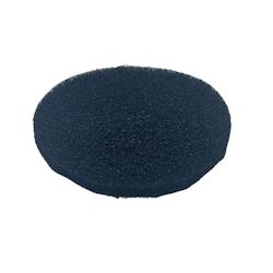 Filtre à charbon actif pour armoire de maturation Coreco - 56FCA_0