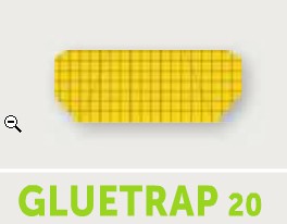 PLAQUE DE GLU GLUTRAP 20 POUR DÉSINSECTISEURS