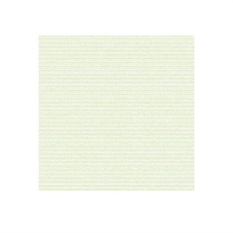 SERVIETTE ECOLABEL DOUBLE POINT MIAMI 18 G/M² 40X40 CM OUATE VERT ANIS (VENDU PAR 1200)