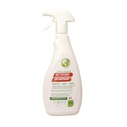 Nettoyant détartrant menthe Ecolabel 750cc KING - P00339_0
