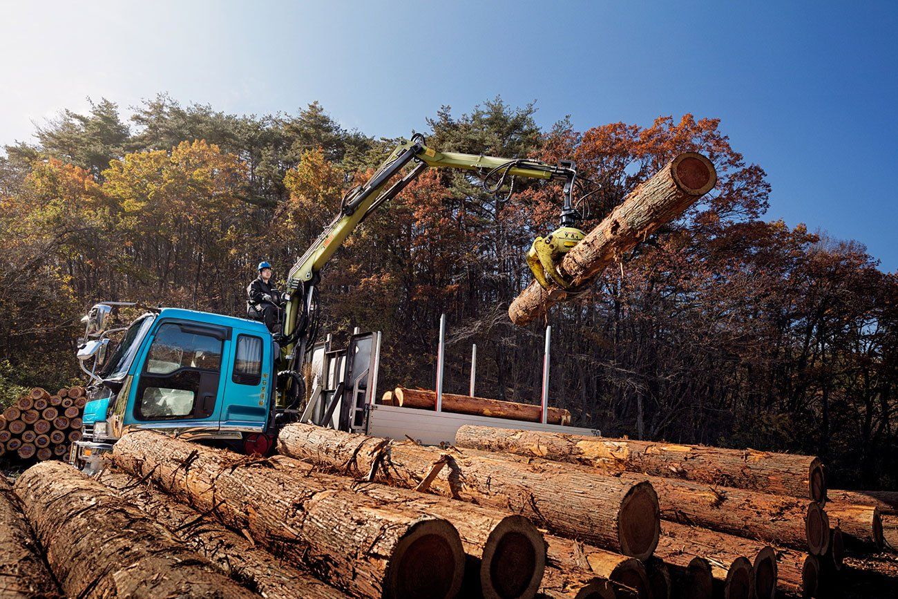 Loglift 61z grues forestières - hiab - d'une portée des extensions hydrauliques de 7.1m_0