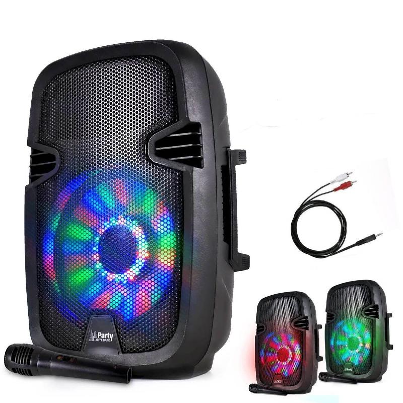 Enceinte mobile batterie 8