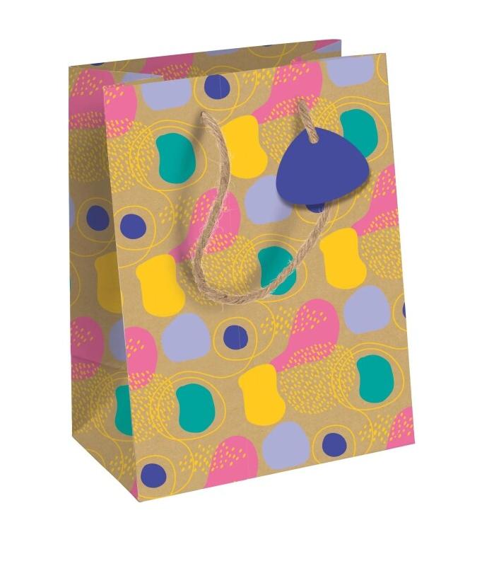 Clairefontaine Lot de 6 Sac cadeau Liwa, moyen format (21,5x10,2x25,3 cm), papier 210 g/m², cordelette assortie - 3663619207344_0