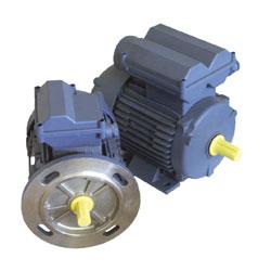 Moteurs monophasés 230V 50Hz - Protection IP55 - Classe F - B3 ou B5 - 2, 4 et 6 pôles_0