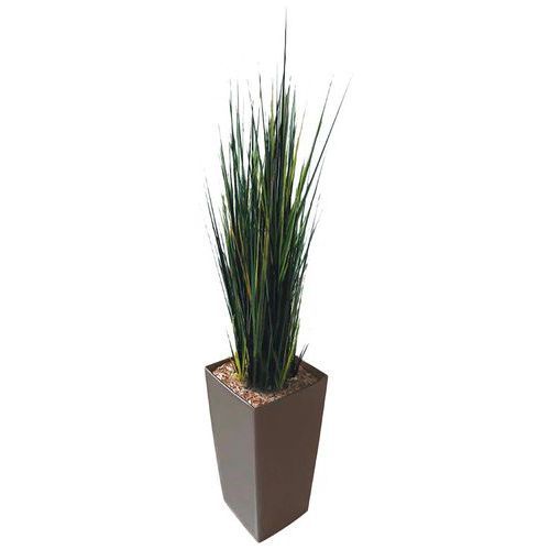 PETIT BAC CARRÉ TAUPE HERBES