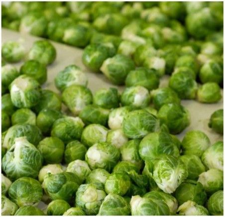 TM 113 - Tambours moteurs Powertrans - étanchéité IP66/IP68 - vitesse 0.008 m/s à 4.4 m/s_1