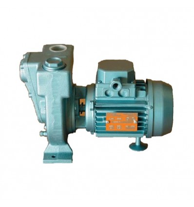01 RA-M - Pompe auto-amorçante Calpeda ORA pour liquides légèrement chargés - 2900 t/mn - Mono 230V ou Tri 230/400V_0