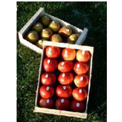 Cagettes fruits & légumes - emballage en bois robuste et adapté_0