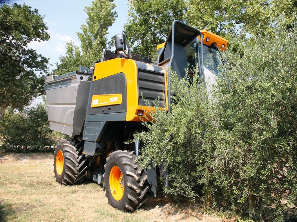 Recolteuse d'olives mavo - sas laupretre - vitesse d'avancement 4 km/h - rendement 16 t/h_1