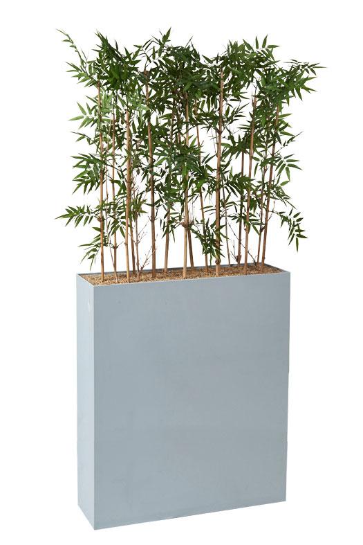 Plante Dans Jardiniere