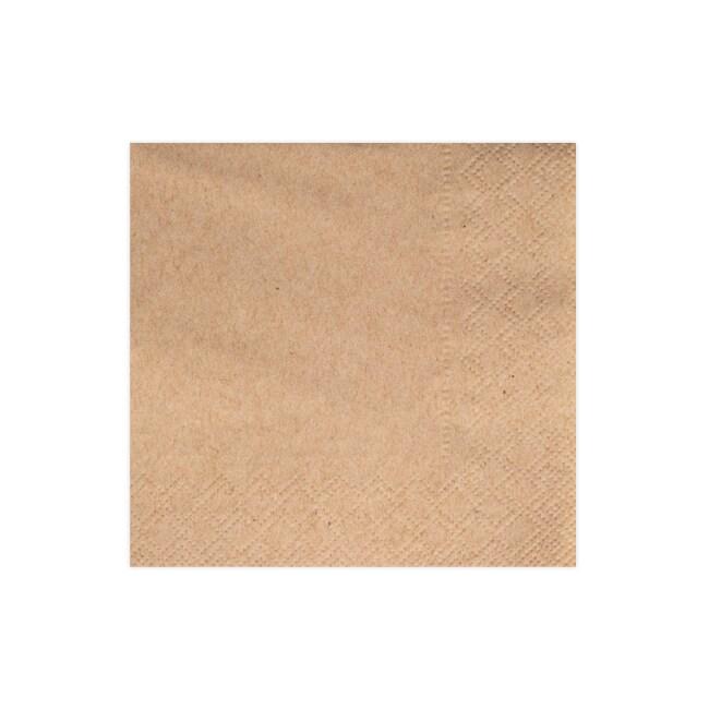 Thouy Serviettes en papier ouate blanc 2 plis 20 x 20 cm x100 - 3701114803682_0