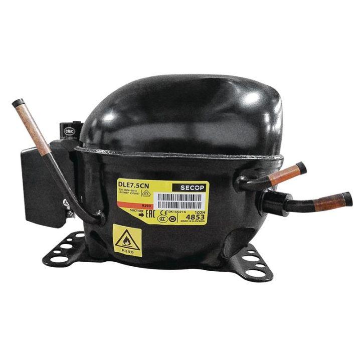 Compresseur R290-DLE7.5CN compatible avec appareils POLAR UA003 et UA007_0