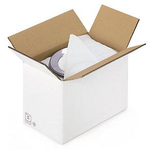 CAISSE CARTON BLANCHE DOUBLE CANNELURE RAJA 25X20X15 CM