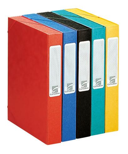 LOT DE 10 - CHEMISE BOX CARTE CARTOBOX EXACOMPTA 24 X 32 CM DOS 4 CM COULEURS ASSORTIES