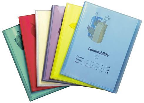 LOT DE 10 - PROTÈGE-DOCUMENTS VIQUEL PROPYGLASS POLYPROPYLÈNE TRANSLUCIDE A4 50 POCHETTES - 100 VUES COULEURS ASSORTIES