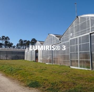 Serre photovoltaïque standard - LUMIRIS® 3 - Surface 15 000 à 40 000 m² - Toiture Nord-Sud en acier et polyéthylène_0