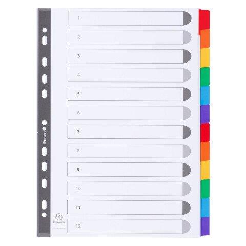 LOT DE 2 - INTERCALAIRE A4 CARTE160 G EXACOMPTA 12 ONGLETS NEUTRES RÉINSCRIPTIBLES MULTICOLORES - 1 JEU