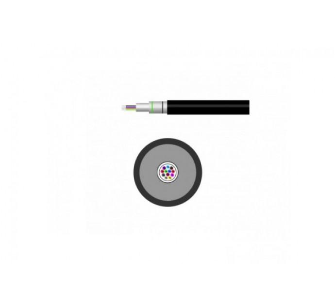 Embouts De Tige Guide Lumière Fibre Optique LED - Dimensions 8*21*12 Mm - Pour Lampes De Durcissement Dentaire