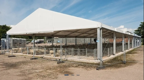 Hangar agricole modulaire - stockage, élevage et protection des récoltes et équipements - HTS TENTIQ GmbH_0