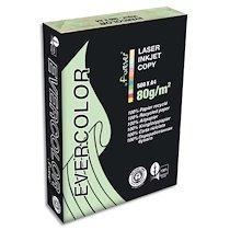 RAMETTE DE 500 FEUILLES PAPIER COULEUR RECYCLÉ EVERCOLOR 80GR FORMAT A4 VERT CLAIR 40004 - LOT DE 2