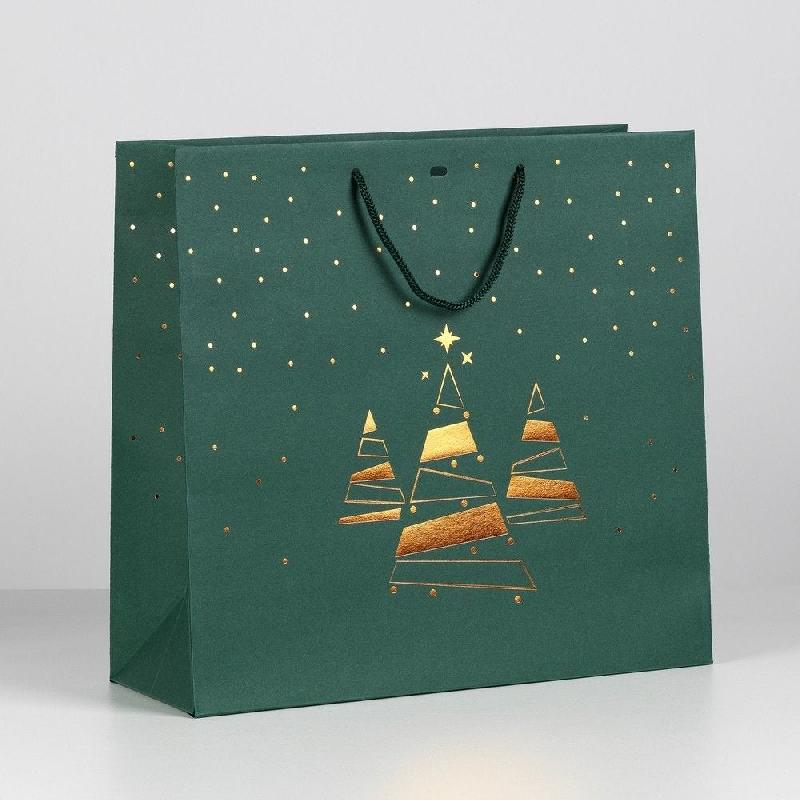 Sac luxe 