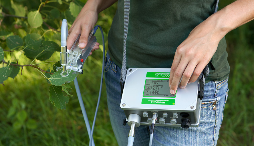 Fluorimètre portable