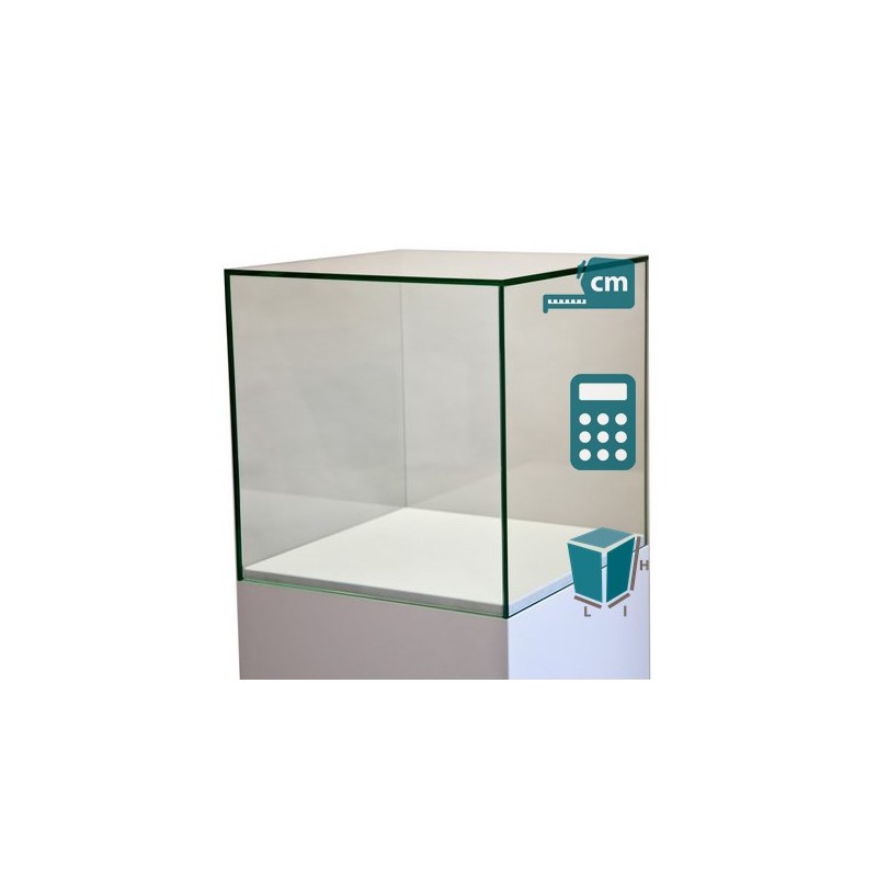 Modèle 430104-000000000 vitrine d'exposition cloche en verre sur mesure_0
