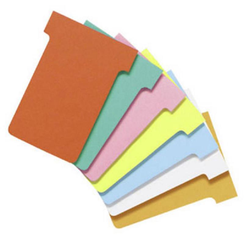 PAQUET DE 100 FICHES 