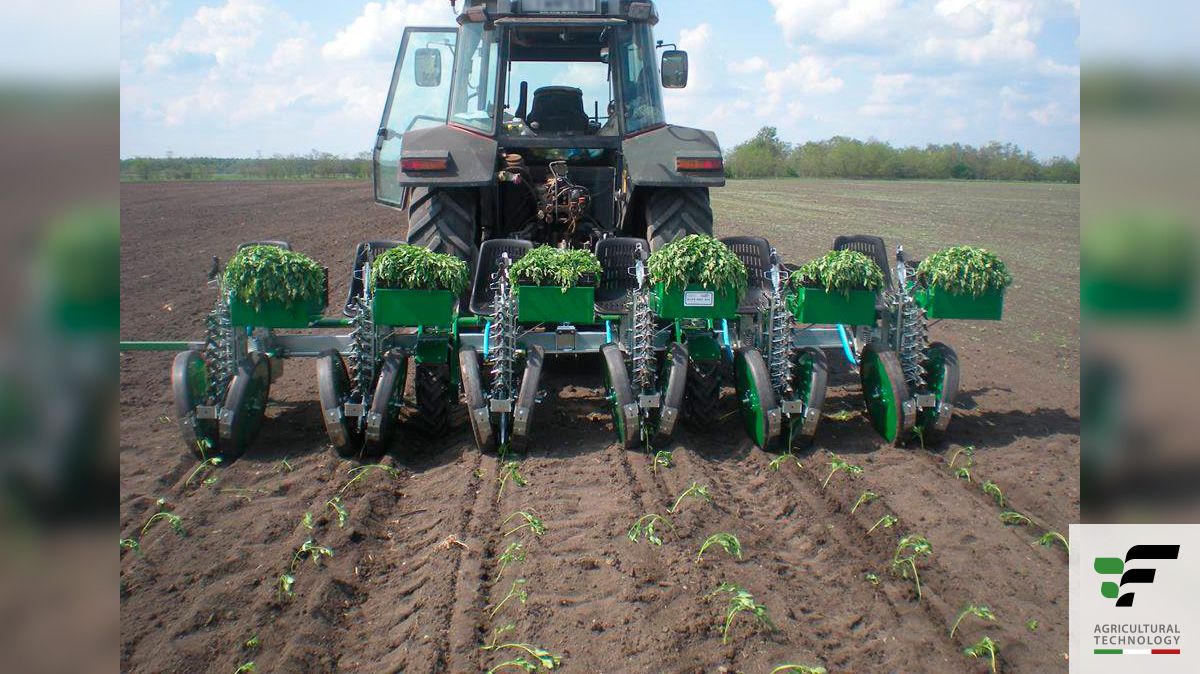 Planteuse à pinces Entry-level - Fedelemario - Distance inter-rangs réglable à partir de 49 cm_0