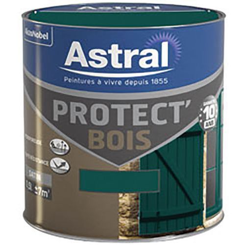 PEINTURE PROTECTRICE BOIS SATINÉE COULEUR VERT POTAGER