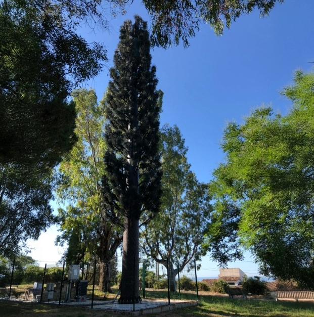 Pylônes arbres - Cyprès - réalistes et intégration parfaite de 9 m à 20 m_0