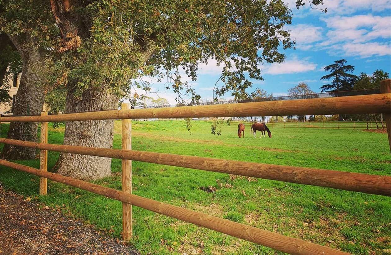 Clôture bois standard pour chevaux - horse stop - 3 demi-lices, 1m70 - ref. B12250-3_0