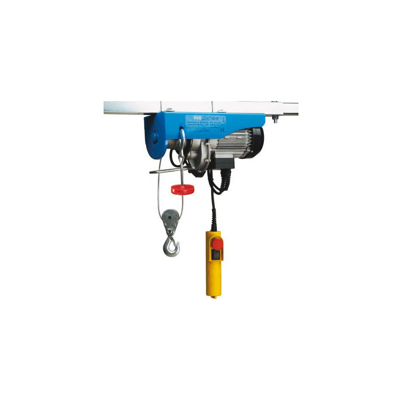 Palan électrique à chaîne - promac - 220v - 250kg/12m - 500kg/6m_0