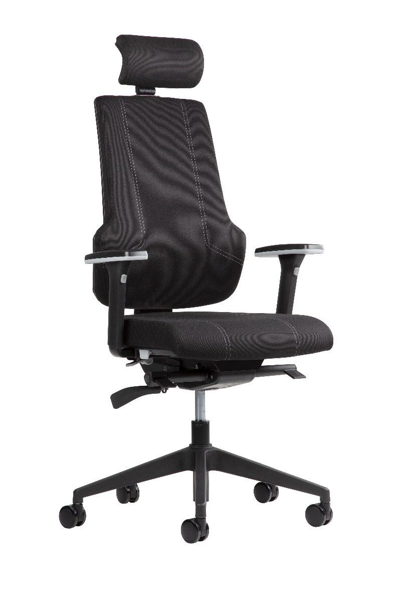 Chaise de bureau ergonomique et professionnelle - THECHAIR avec appui-tête réglable en option, soutien lombaire et accoudoirs 4D_0