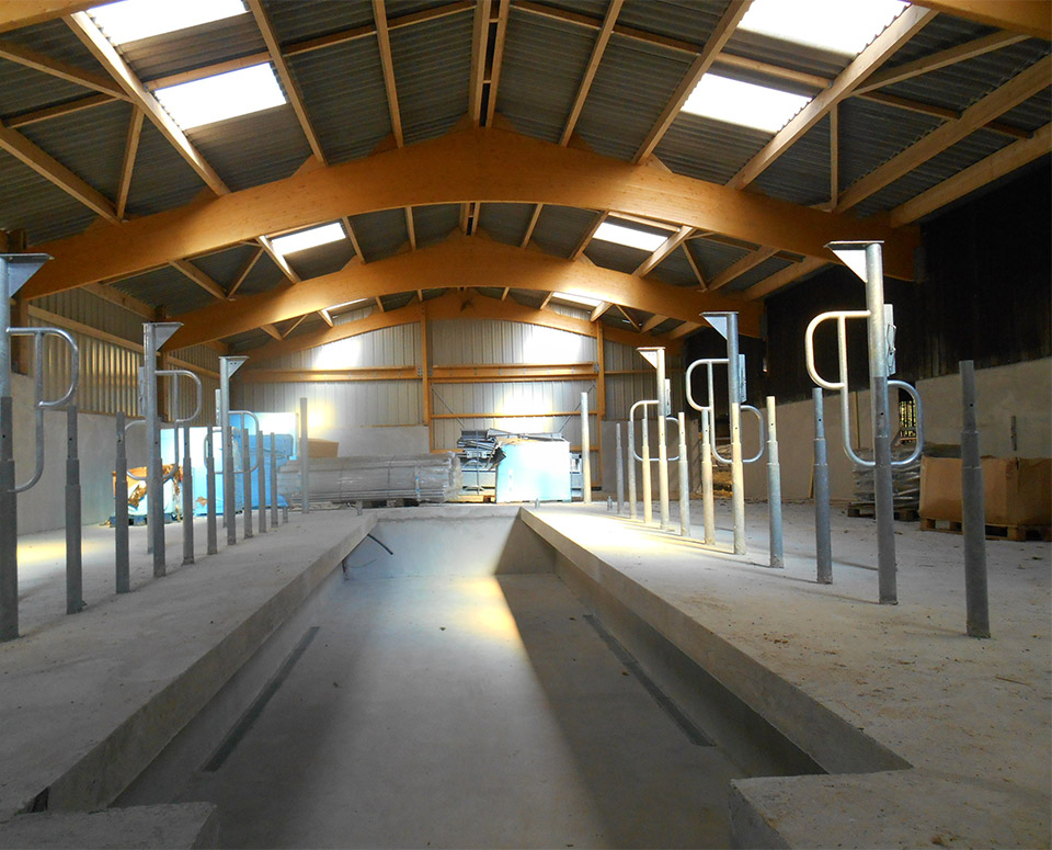 Bâtiment d'élevage bovin moderne et fonctionnel en bois lamellé-collé - Charpentes de plus de 100 mètres_0