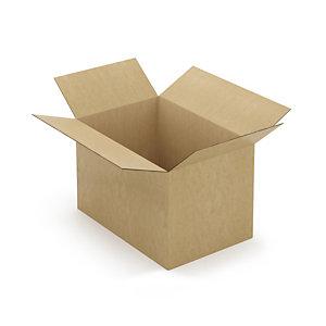 CAISSE CARTON BRUNE DOUBLE CANNELURE À MONTAGE INSTANTANÉ RAJA 59X39X38 CM