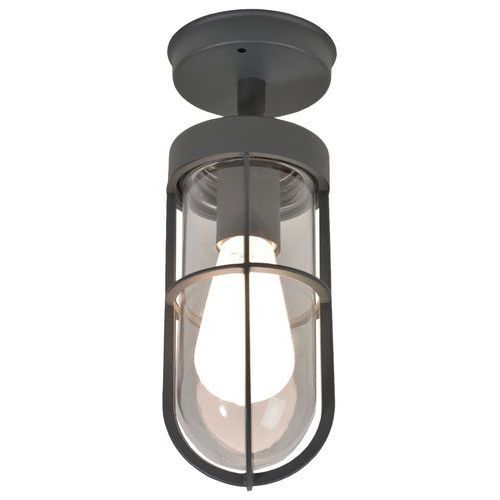 PLAFONNIER EN ACIER INOXYDABLE GLOBE EN VERRE TRANSPARENT ANTHRACITE - COREP