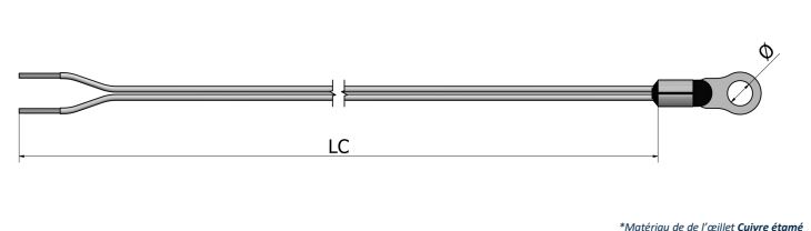 Sonde de résistivité - Sonde à résistance de surface Œillet - PS01_0