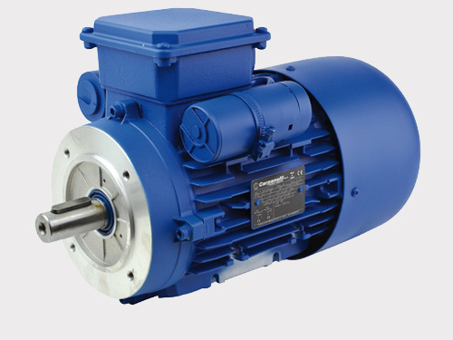 Moteur électrique monophasé 3000 tr/min - Taille 80 - B14 - 0,75 kW - Coupleur centrifuge - IP55_0
