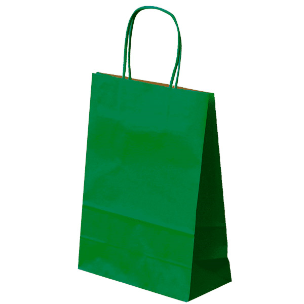 250 sacs kraft couleur à poignées torsadées 260x140x320 mm - SKFTPTVTF-GP03_0