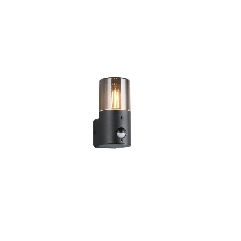 Applique extérieure Hoosic détecteur de mouvement E27 IP44 noir mat abat-jour fumé - Trio Lighting - noir aluminium 4017807603620_0