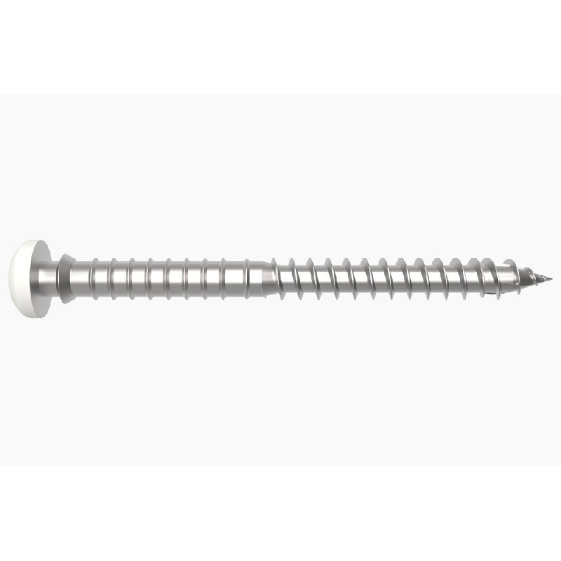 VIS POSE RÉGLABLE SPTR V6 14 BLANC 6X70 BOÎTE DE 100 - SFS INTEC - 1550281