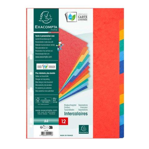 LOT DE 5 - INTERCALAIRE A4 CARTE LUSTRÉE COLORÉE EXACOMPTA 12 ONGLETS NEUTRES