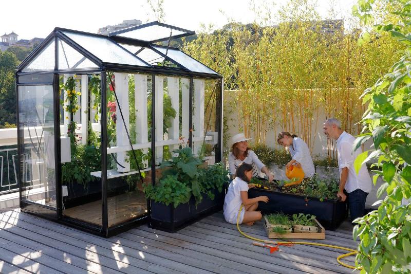 Piccolo P03 - Serres de jardin à parois droites en aluminium avec verre sécurit_0
