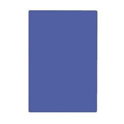DBMARK - CBD30202-BLU - Planche à découper de 2 cm d'épaisseur - 30 x 20 x 2 cm - Bleu - bleu plastique CBD30202-BLU_0